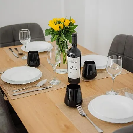 Modern In Near Premiere Apartment Timisoara