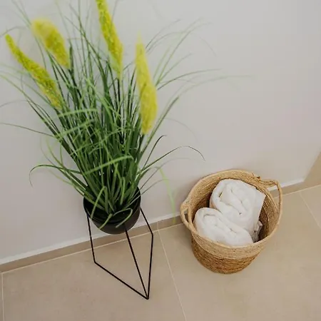 Apartment Modern In Near Premiere *