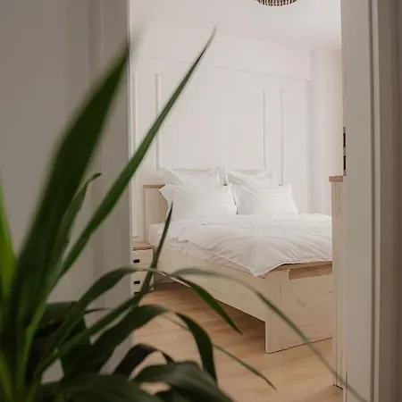 Modern In Near Premiere *