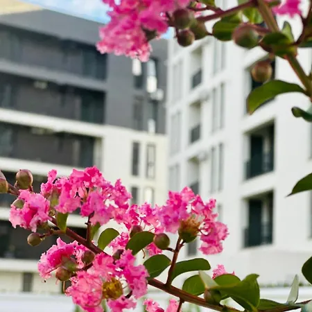 Modern With Free Private Parking In *