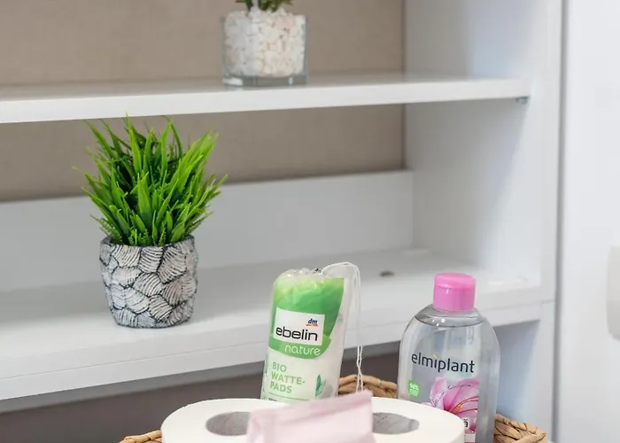 Appartement Modern With Free Private Parking In Timişoara