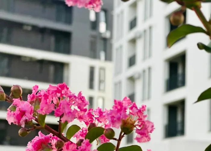 Modern With Free Private Parking In *